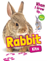 Rabbit_Kits