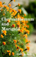 Chrysanthemum_and_Marigold