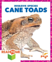 Cane_Toads
