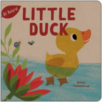 Little_duck