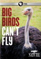 Big_birds_can_t_fly