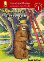 Big_brown_bear__