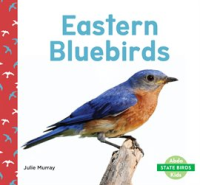 Eastern_Bluebirds