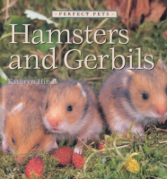 Hamsters_and_gerbils