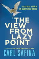 The_view_from_Lazy_Point