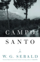 Campo_Santo