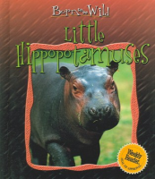 Little_hippopotamuses