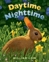 Daytime_nighttime