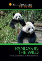 Pandas_in_the_wild
