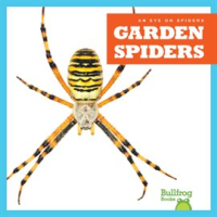 Garden_Spiders