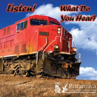 Listen__What_Do_You_Hear_